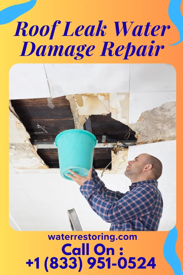 Roof Leak Water Damage Repair in Vesta, MN