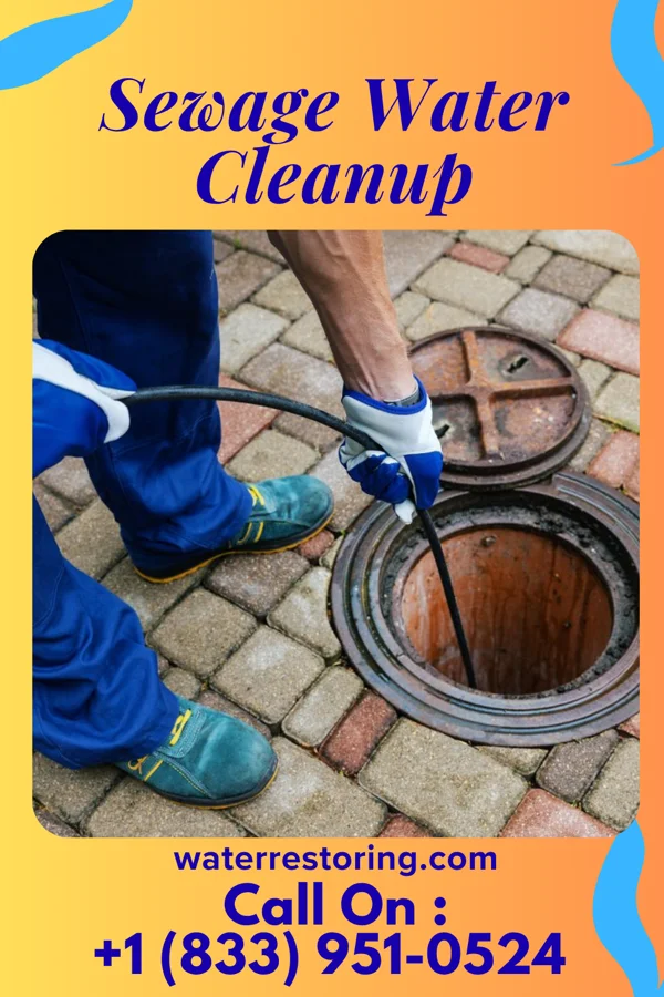 Sewage Water Cleanup in Vesta, MN