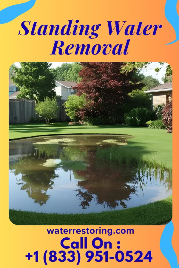 Standing Water Removal in Vesta, MN